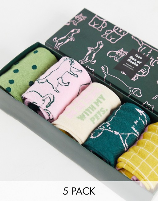 Typo sock multipack x 5 in mixed dog prints