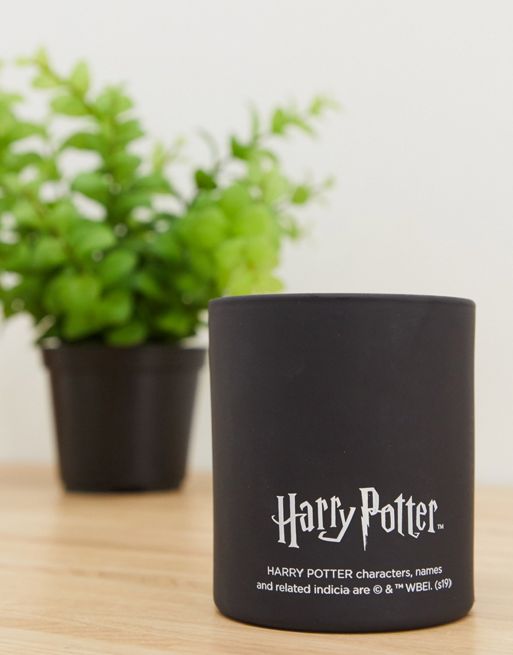 TYPO x Harry Potter – Ljus som visar vilket elevhem du tillhör | ASOS
