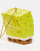 Thumbnail 4 von 4