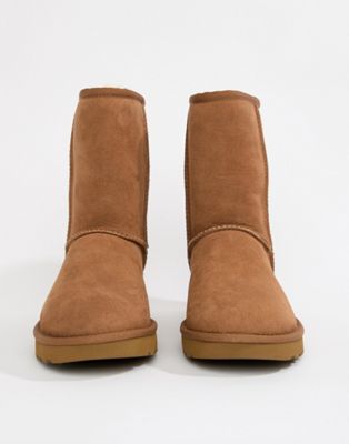 short chestnut ugg boots