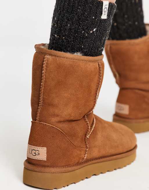 Uggs classic best sale short chestnut