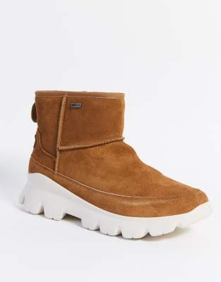 ugg palomar sneaker