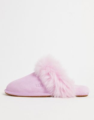 UGG Scuff Sis slippers in primrose