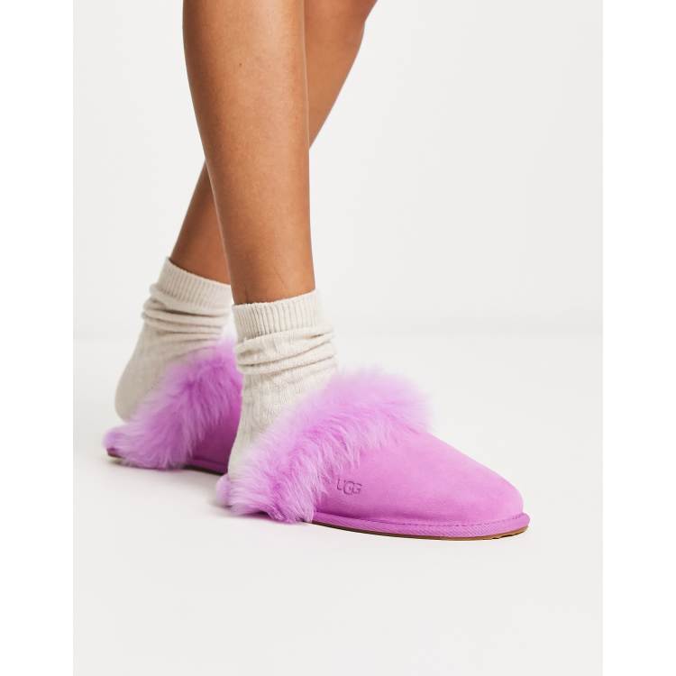 Womens purple ugg slippers new arrivals