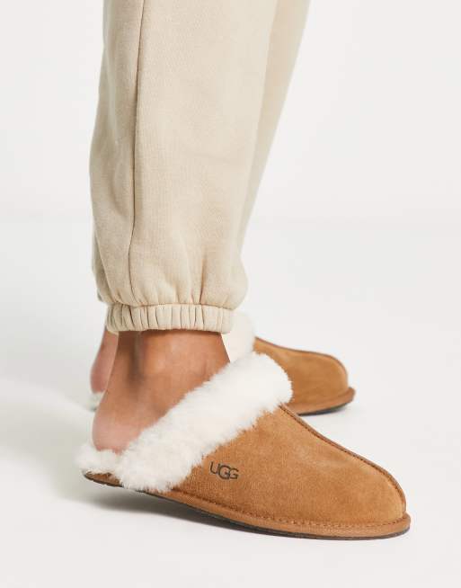 Ugg scuffette 2024 ii chestnut