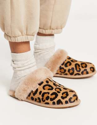 Shop Ugg Scuffette Ii Slippers In Leopard Print-multi