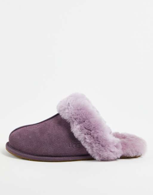 Womens purple deals ugg slippers