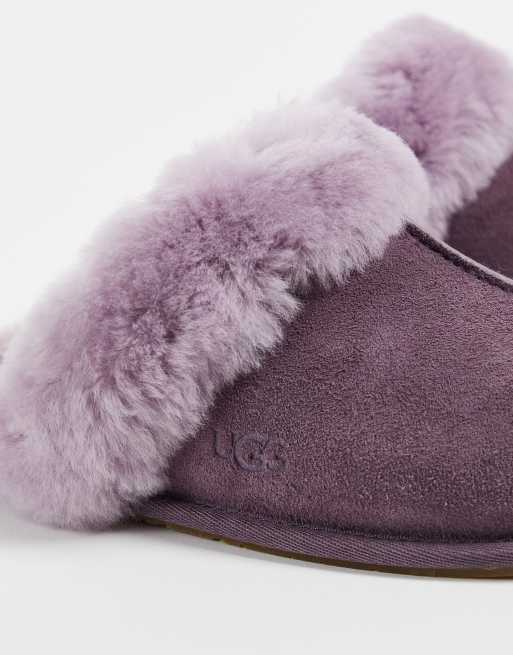 Purple ugg scuffette slippers new arrivals