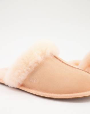 scallop ugg slippers