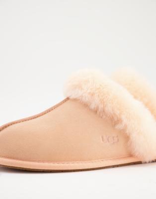 scallop ugg slippers