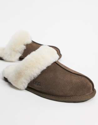 ugg scuffette slippers espresso