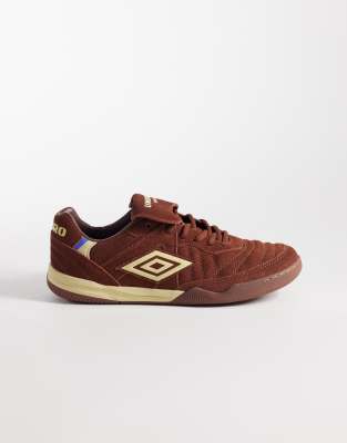  Speciali TR suede trainers in dark brown and cream