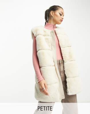 Faux fur gilet clearance petite