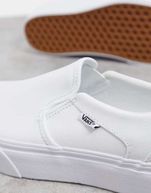 White store asher vans