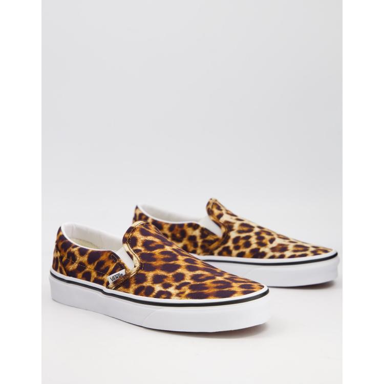 Vans hot sale asher leopard