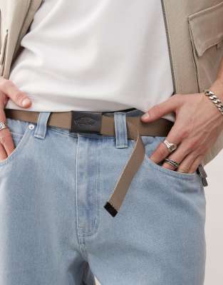 Vans Vans classic web belt in taupe-Brown