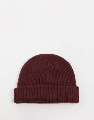 burgundy vans beanie