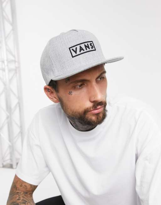 Vans Easy Box snapback in grey