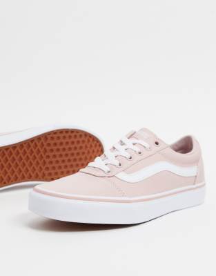 vans canvas rose