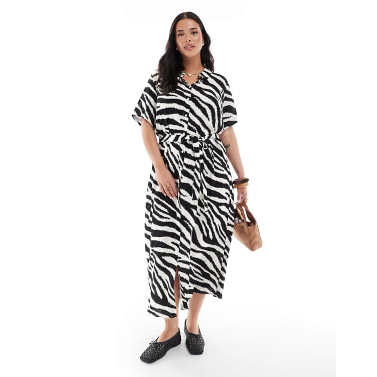 208138371-1-birchzebra?$n_750w