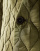 Thumbnail 5 of 5