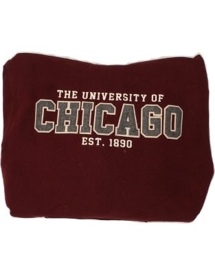 Vintage Champion Chicago Size S Graphic Hoodie Jumper in Burgundy