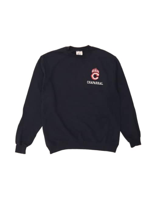 Vintage Champion Graphic Sweatshirt Jumper Large In Blue