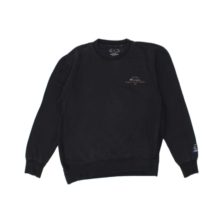 Champion navy jumper hot sale