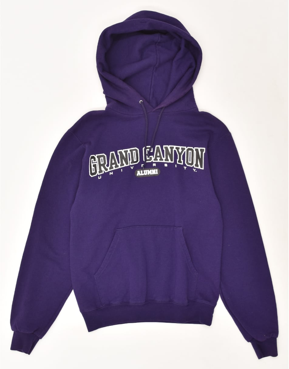 Vintage Champion Size XS Graphic Hoodie Jumper in Purple