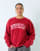 Thumbnail 4 of 4