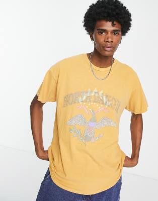 north dakota collegiate t-shirt in mustard-Brown