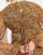 Thumbnail 3 of 4