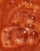 Miniaturebillede 2 af 4