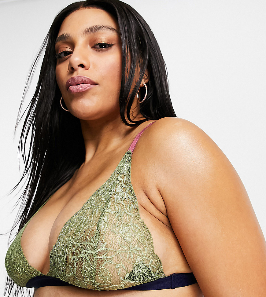 We Are We Wear Curve Evolve recycled lace cami strap triangle bralette in khaki and navy-Multi
