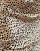Thumbnail 2 of 5