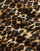 Thumbnail 4 van 5
