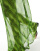 Thumbnail 4 of 5