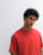 Thumbnail 3 von 5
