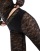 Thumbnail 2 van 5