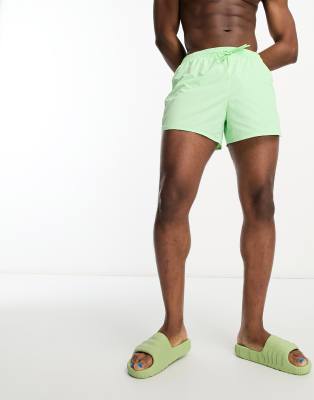 tan structure swim shorts in light green