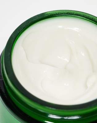 Weleda Skin Food Nourishing Day Cream 40ml-no Color