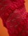Thumbnail 2 van 5