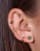 Thumbnail 3 van 4