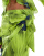 Thumbnail 5 of 5
