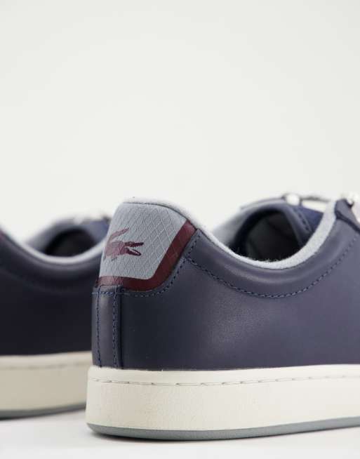 Zapatillas Lacoste Carnaby Evo Azul, Solo Deportes