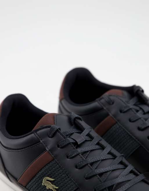 Zapatillas de deporte negras/marrón oscuro Chaymon de Lacoste ASOS
