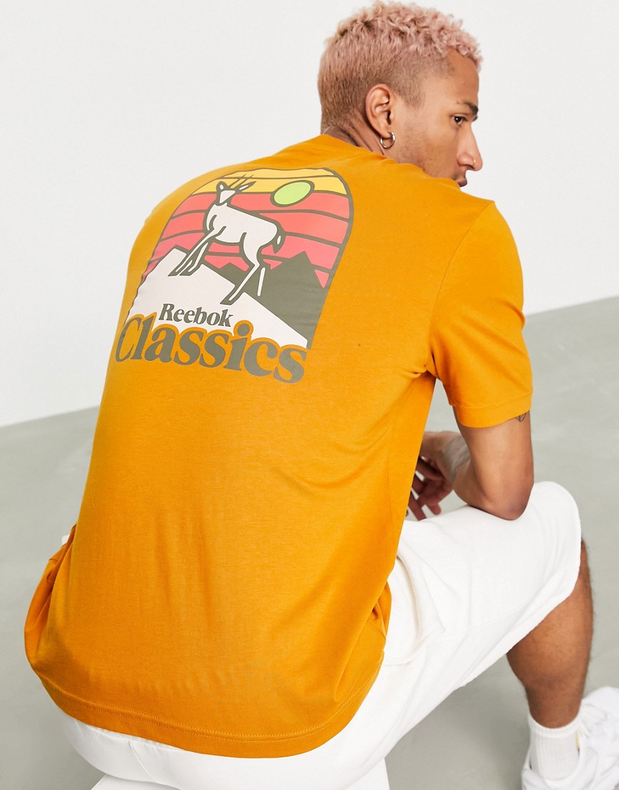 фото Золотисто-оранжевая футболка с принтом на тему кемпинга на спине reebok classics-оранжевый цвет